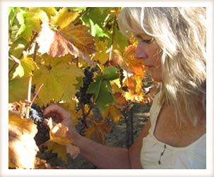 Heidi Barrett in the vineyard